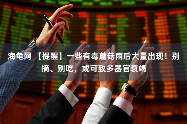 海龟网 【提醒】一些有毒蘑菇雨后大量出现！别摘、别吃，或可致多器官衰竭