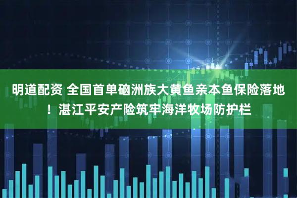 明道配资 全国首单硇洲族大黄鱼亲本鱼保险落地！湛江平安产险筑牢海洋牧场防护栏