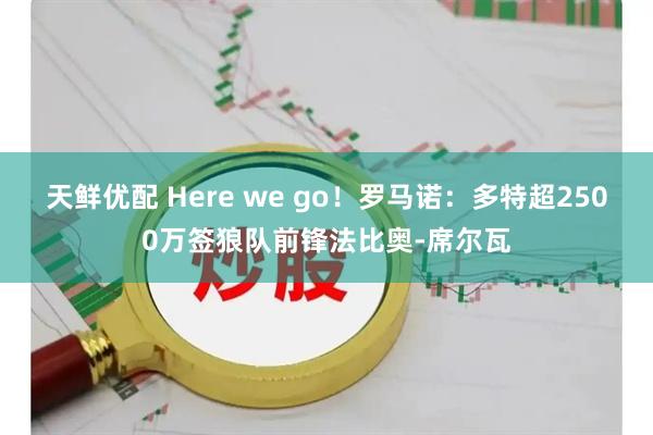 天鲜优配 Here we go！罗马诺：多特超2500万签狼队前锋法比奥-席尔瓦